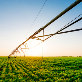 Center pivot in soybeans