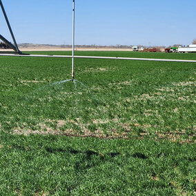 Center pivot running over field