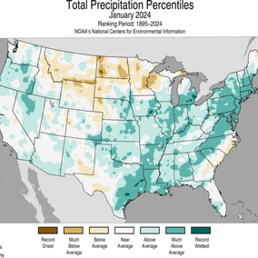 Precipitation totals map for January