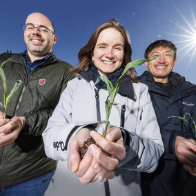 People holding sorghum plants toward camera 