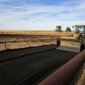 Tractor spreading black coal char in cattle pen