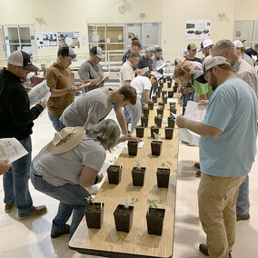 Men and women stand around tables looking at container plants