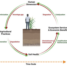 Soil Health Cycle infographic