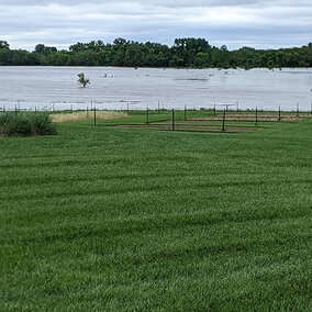 Flooded field at ENREEC