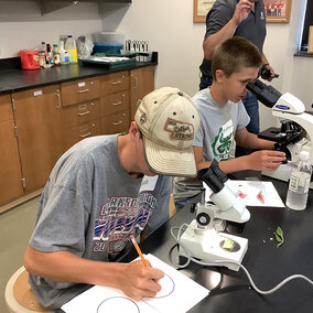 Young boys look into microscopes on lab table