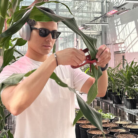 Man holds plant in greenhouse