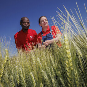 Man and woman stand in wheat field