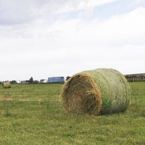Hay bale sits in field