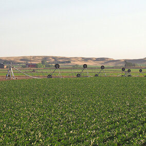 Center pivot damaged in field