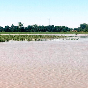 Flooded field