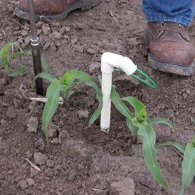 Crop sensor mounted in field