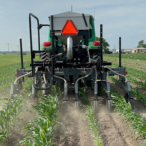 Tractor driving through corn rows