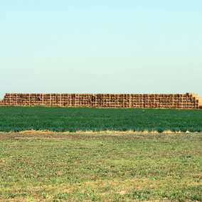 Hay bales in field