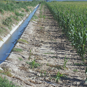 Concrete ditch filled with water and siphon tubes near field