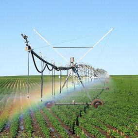 Center pivot watering bean field