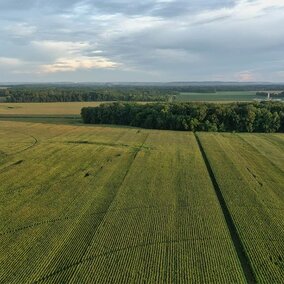 Aerial view of farmland