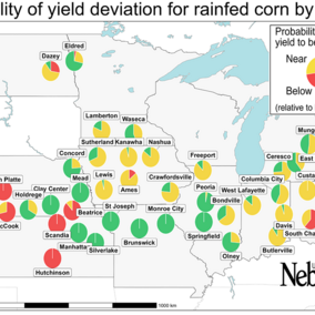Rainfed corn yield forecast map