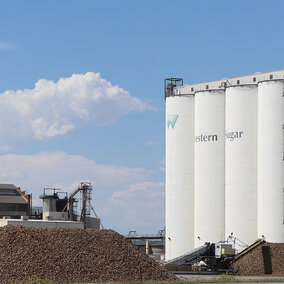 Beet piles near production facility structures