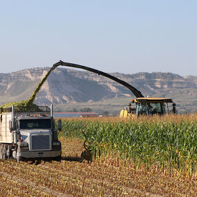 Combine harvests corn field as grain truck follows