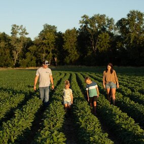 Man and woman walk with children in field