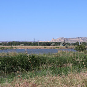 Barbwire fence near pasture