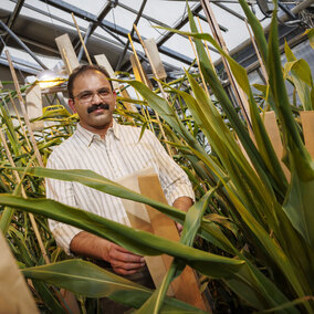 Man stands in lab near plants