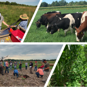 Photo collage of agricultural images