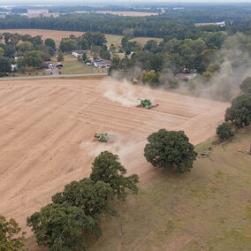 Combines harvesting field