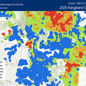 grasshopper risk map