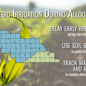 corn field graphic with irrigation tips