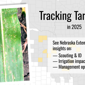 photo collage of tar spot map behind corn leaf and text about what's included in article