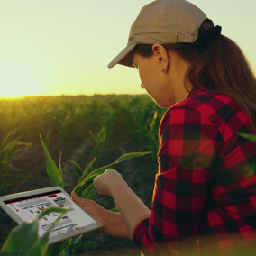 Wondering what kind of corn yields 2025 might bring? Our annual real-time corn yield forecasts will help you track yield potential and adjust decisions as the season unfolds.
