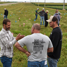 A Nebraska Extension educator speaks with two farmers in a research plot marked with blue and pink flags during a SCAL Field Day. Other attendees observe and discuss plots in the background. 