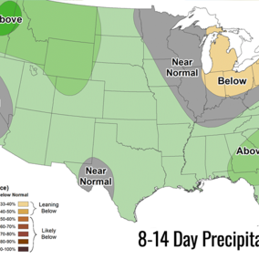 Map of the United States showing the 8–14 day precipitation outlook issued July 25, 2025, for the period August 2–8. Most of the country is forecast to have near normal or above normal precipitation, with above normal chances in the Southeast and Northwest. Below normal precipitation is likely in parts of the Northeast, Upper Midwest, and central Alaska. A key in the lower-right corner shows probability categories from 33% to over 90%.