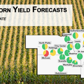 A rainfed corn yield forecast map overlaid on an aerial photo of maturing corn, showing mostly above-average projections across eastern Nebraska.