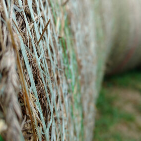 Closeup of hay bales wrapped in twine and stacked in a single line