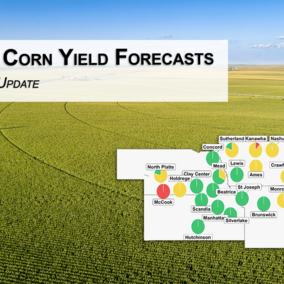 Nebraska cornfield background with title “2025 Corn Yield Forecasts: August Update” and inset map showing probability of yield deviation, with most Nebraska sites near or above average and McCook below.