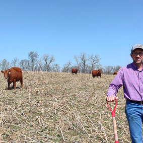 Brian Brhel stands in a harvested cornfield with cattle grazing on residue under a clear sky.