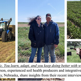 A collage of four images showing soil health farmers Paula and Tom Peterson from Waverly, Nebraska — the couple standing together in a cover crop field, a tractor cutting hay, a green soybean field, and cattle grazing on pasture.