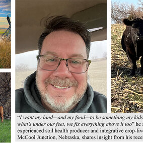 Collage showing a farmer, grazing cattle, young calves and an old tractor, with a quote about healthy soil and family stewardship.
