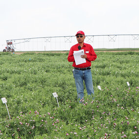 Dipak Santra stands in a pea research field holding notes, with labeled plots and an irrigation pivot visible in the background.