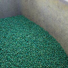 treated soybean seed in a hopper.