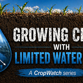 Drop-shaped graphic with a river and declining chart over soil and crops under a bright sky.