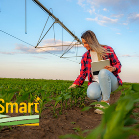Person inspecting crops under irrigation equipment, holding a tablet, with "CropSmart" logo in view.