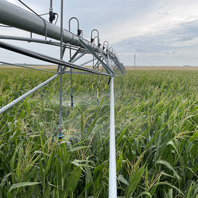 Irrigation system spraying water over a green cornfield under a cloudy sky.