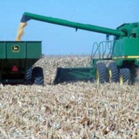 To avoid compacting more of the field, the grain cart should run down the same row middles as the combine. An auger extension may be needed on the combine to get the wheel tracks to line up. The wheel spacing on the combine, tractor, and grain cart should be adjusted to all run between the rows. 