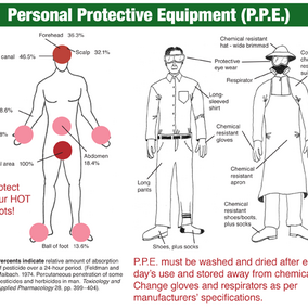 Body Exposure Points and Personal Protective Equipment