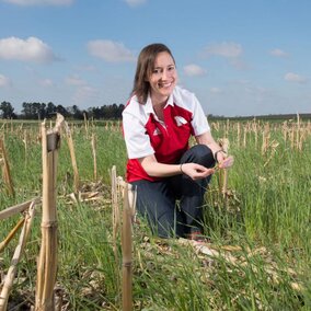 Andrea Basche in a field of cover crop planted into corn stubble