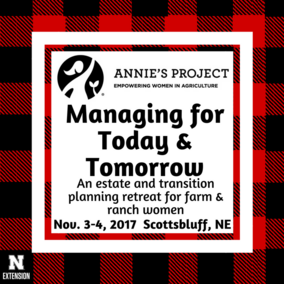 Ad for Annie's Project Nov. 3-4