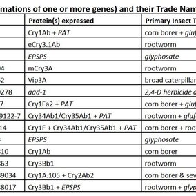 Excerpt from the November 2018 Bt Trait Table